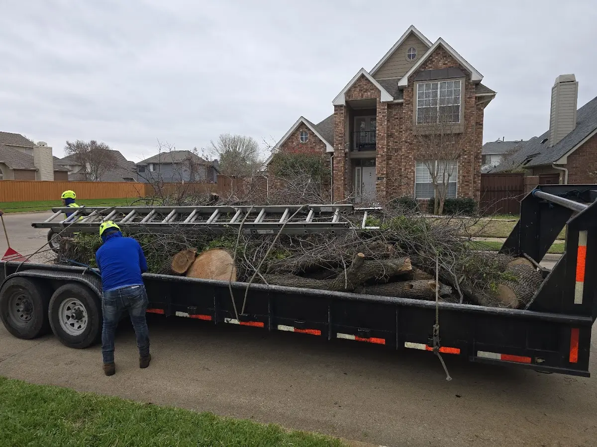 Expert Lot Clearing with proper safety equipment in Tappen